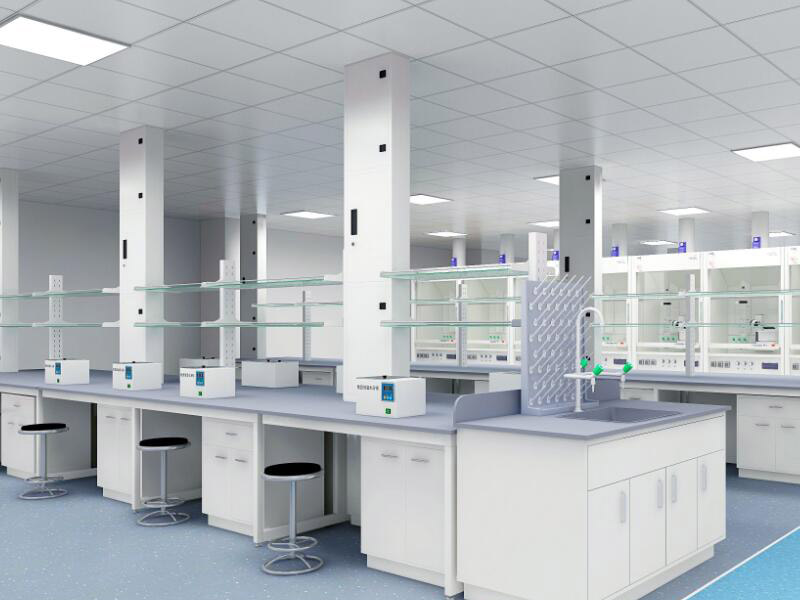 Providing Support for Scientific and Technological Innovation: Essential Elements of Modern Laboratory Facilities